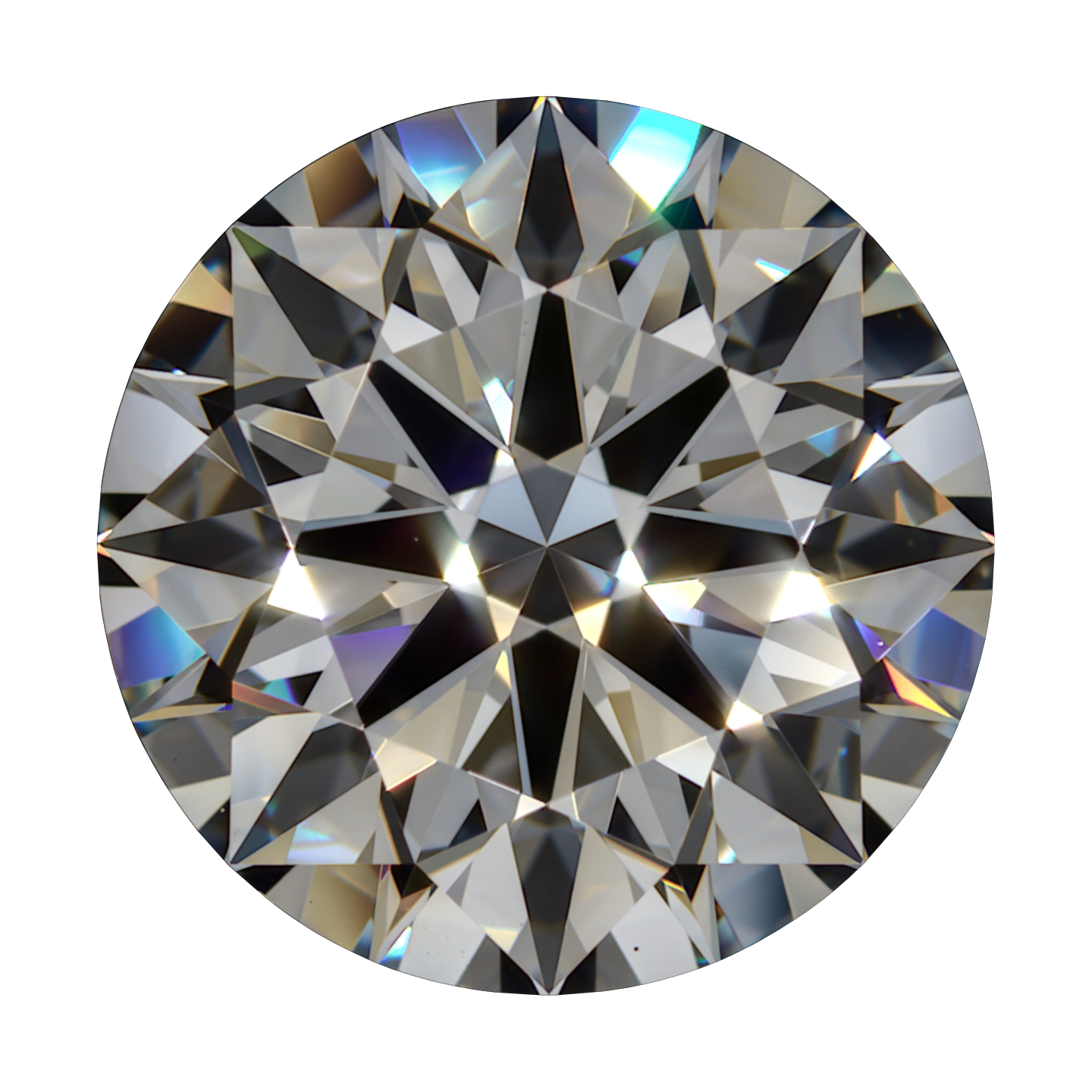 3.1 E VS1 BG Deluxe Lab Round still