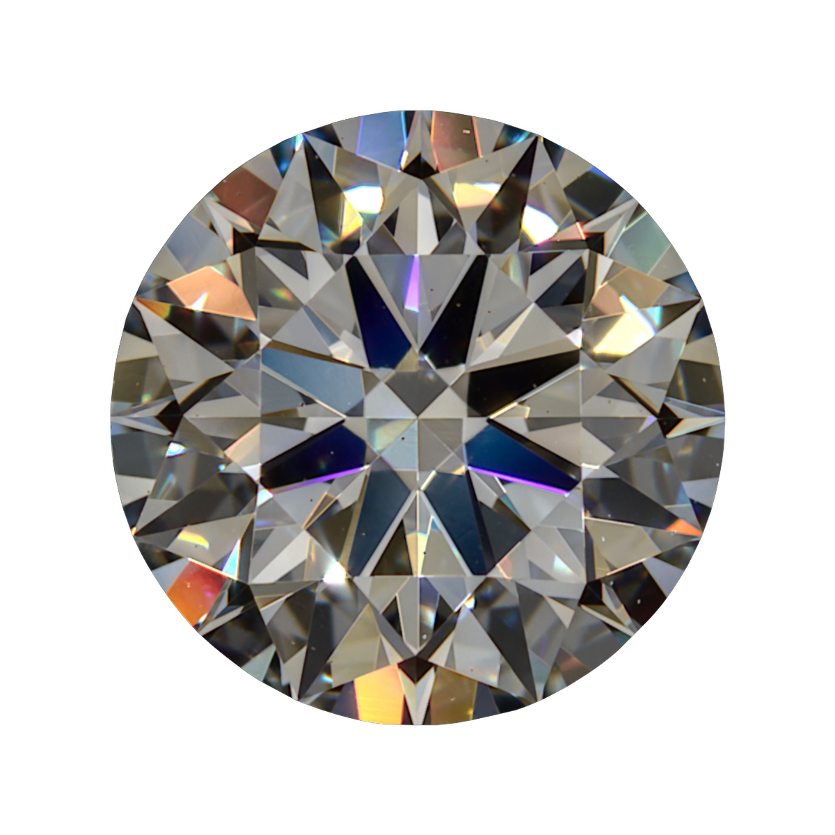 1.181 I VS1 Brian Gavin Blue still