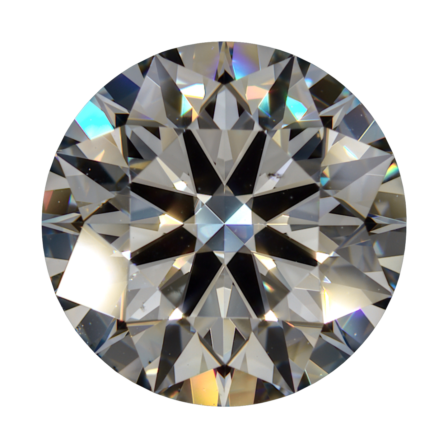 2.723 J VS2 Brian Gavin Blue still