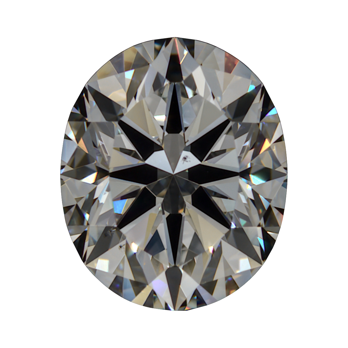 1.261 H VS2 Brian Gavin Signature Oval still