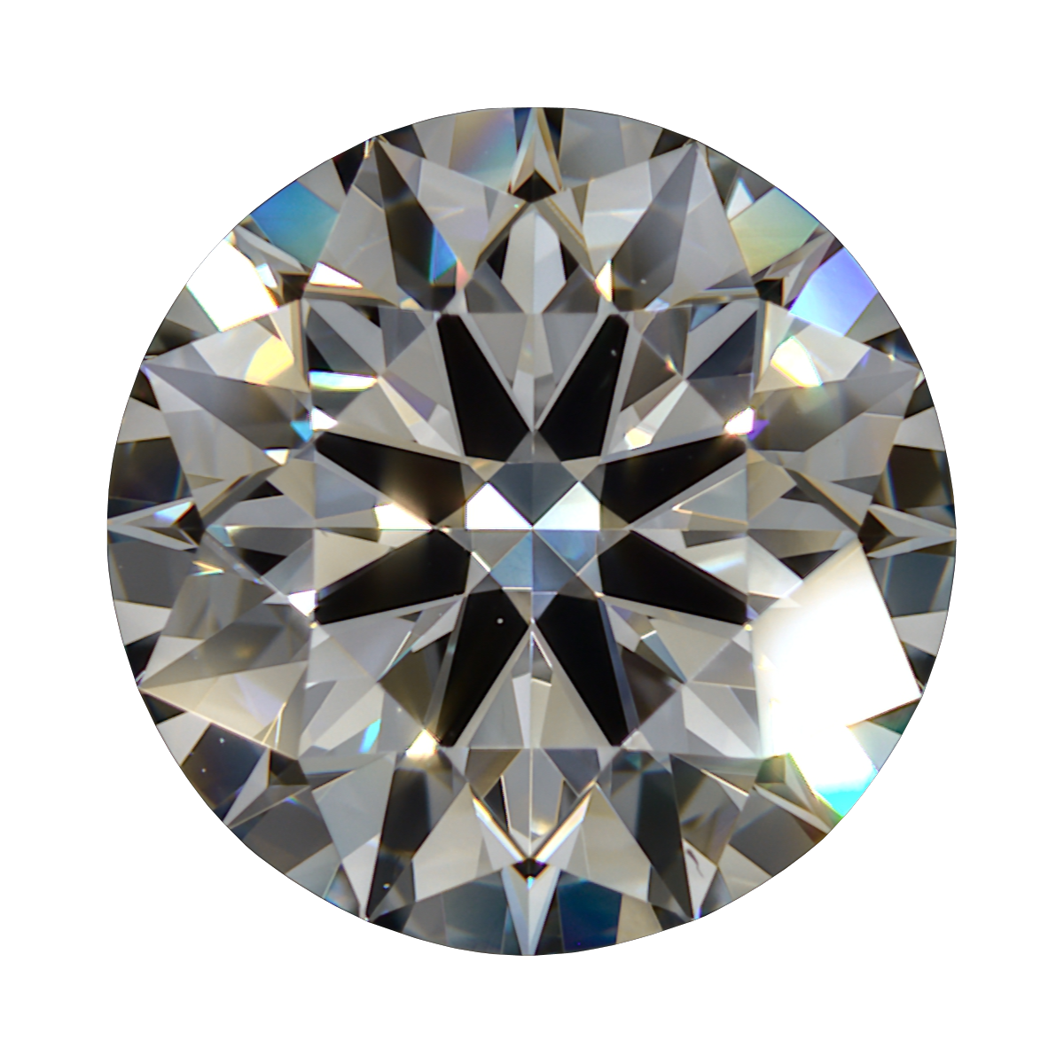 1.6 H VS2 Brian Gavin Blue Round still