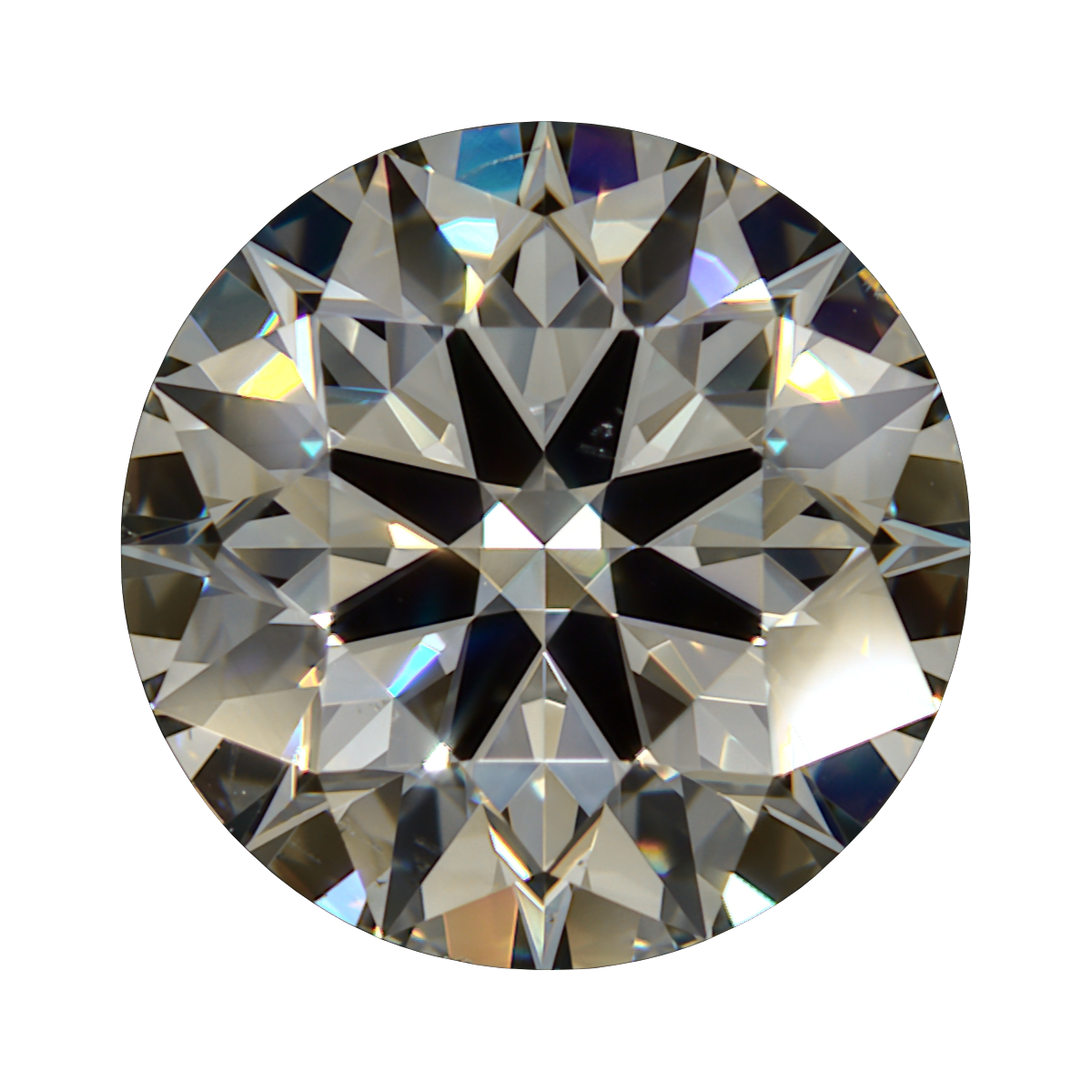 1.52 N VS2 Brian Gavin Signature Round still