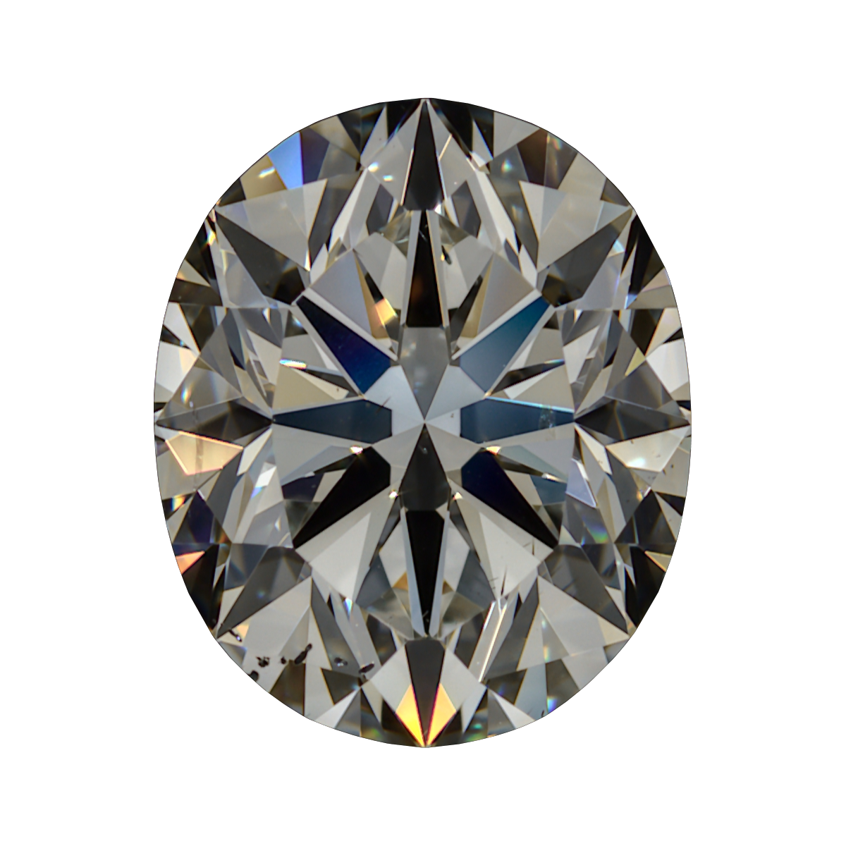 1.21 K SI1 Brian Gavin Signature Oval still