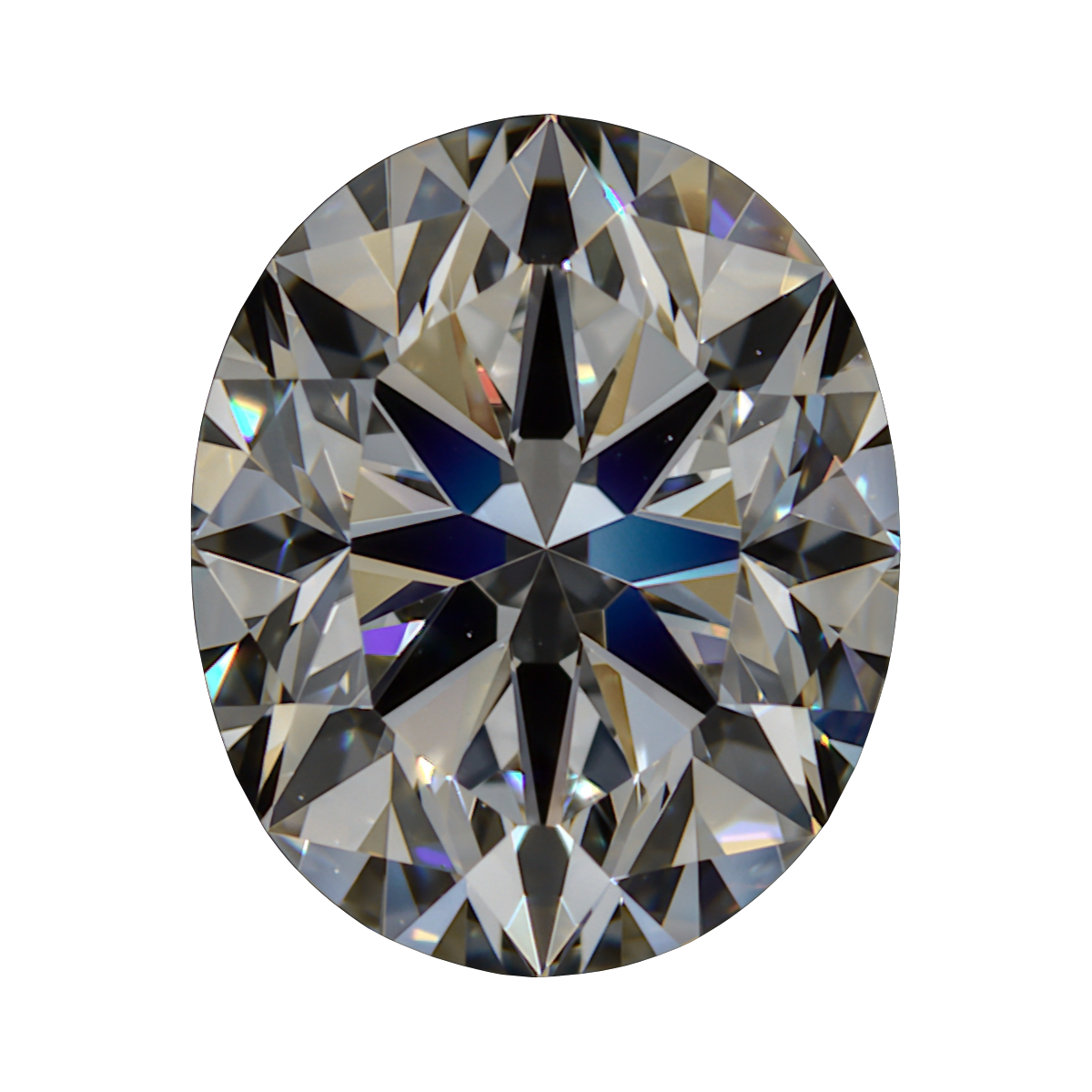 1.31 H VVS1 Brian Gavin Signature Oval still