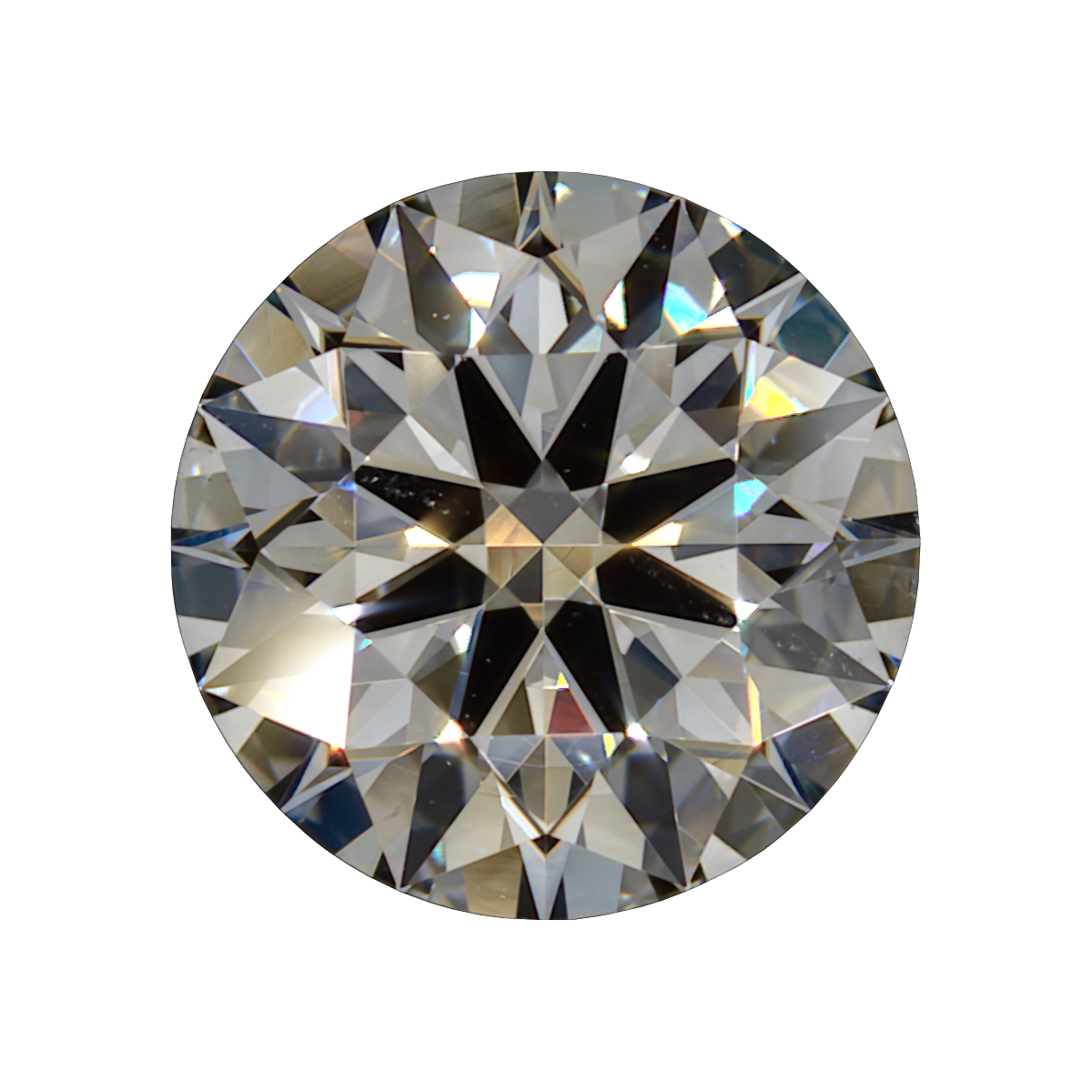 1.01 H VS2 Brian Gavin Signature Round still