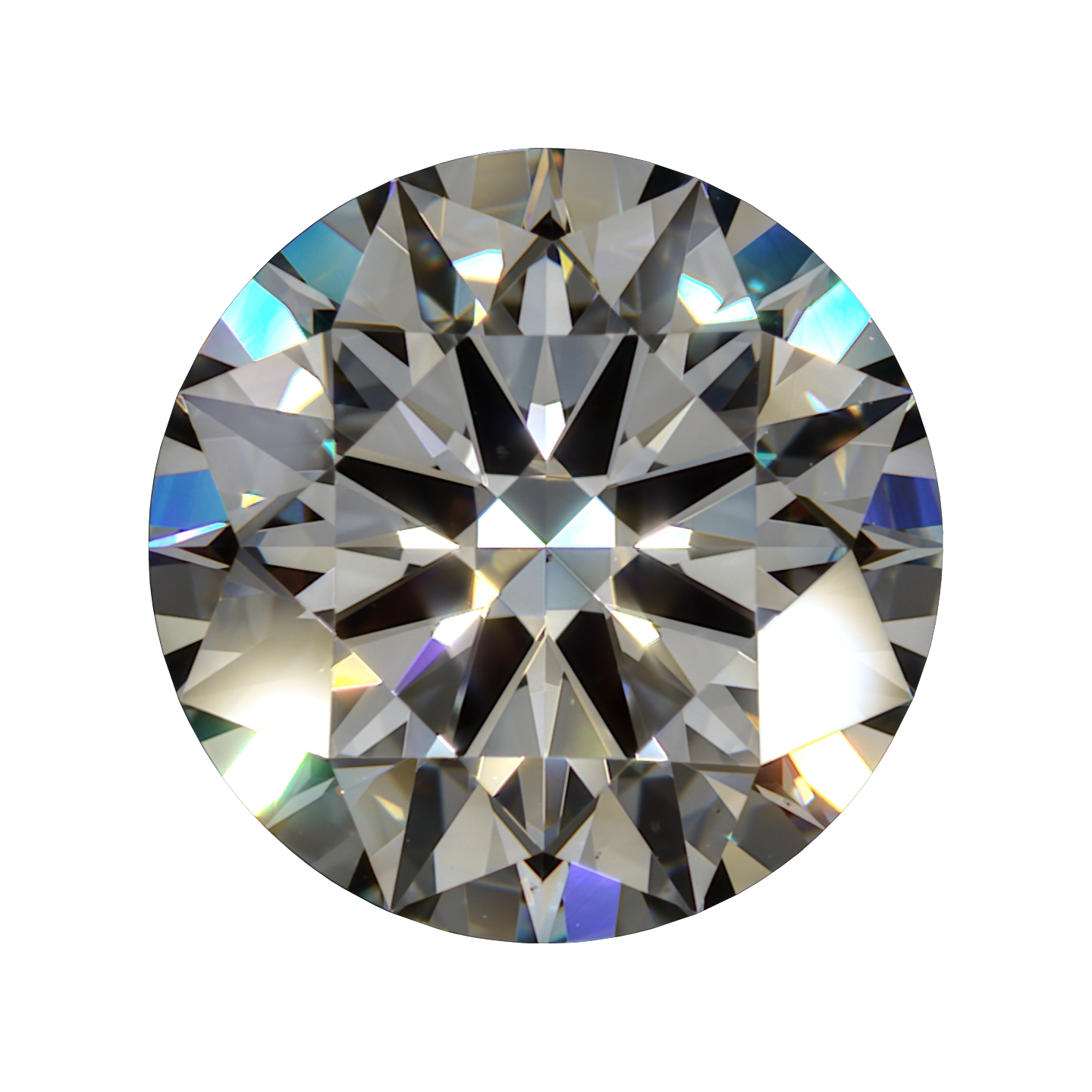 2.10 J VS1 Brian Gavin Signature Round still