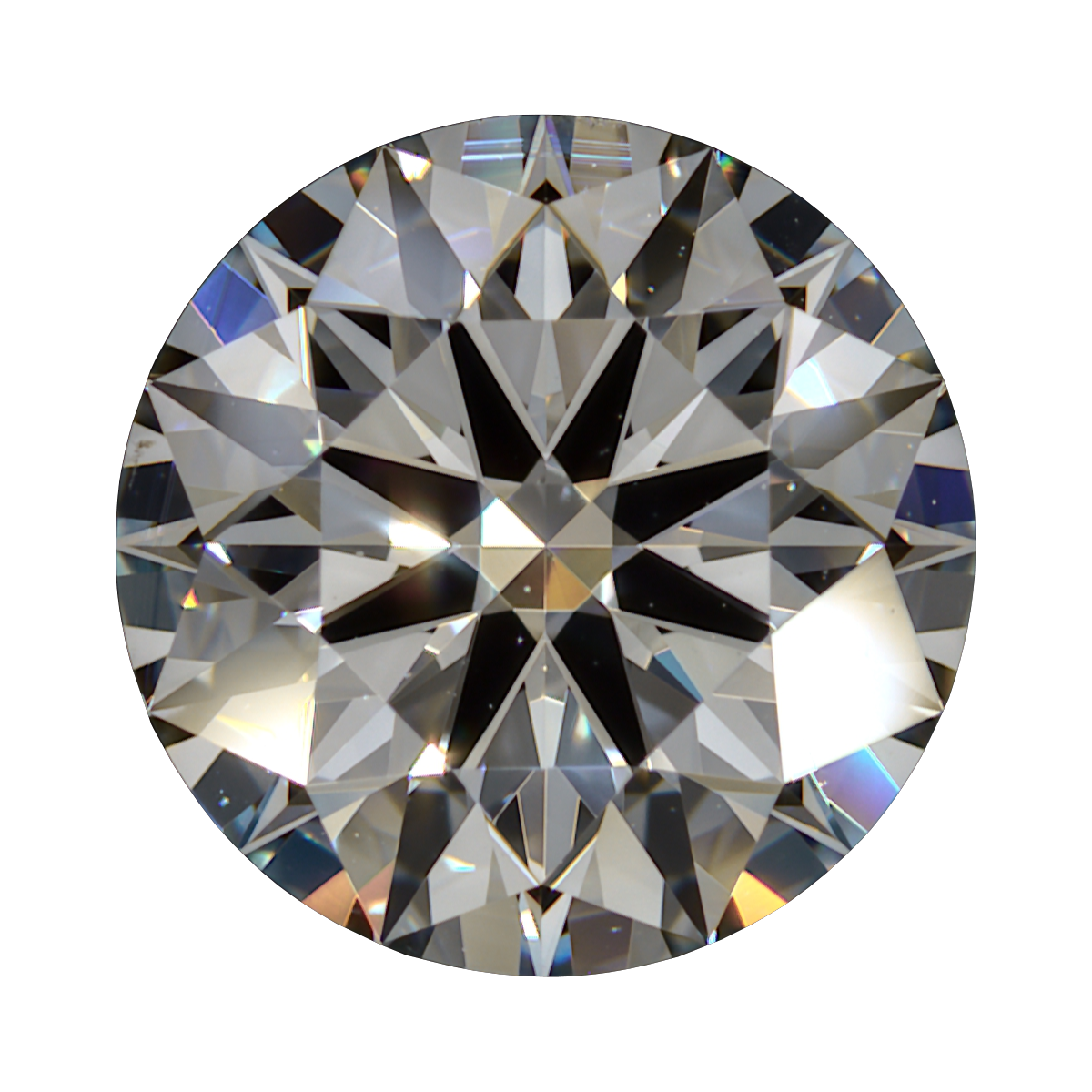 1.57 J VS1Brian Gavin Signature Round still