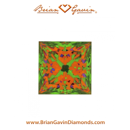 1.034 G VVS1 Signature Princess aset