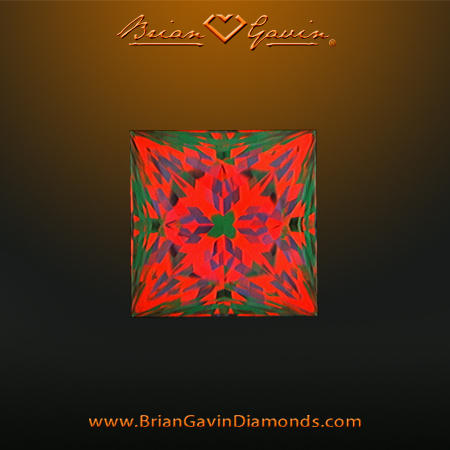 0.791 F VVS2 Signature Princess aset