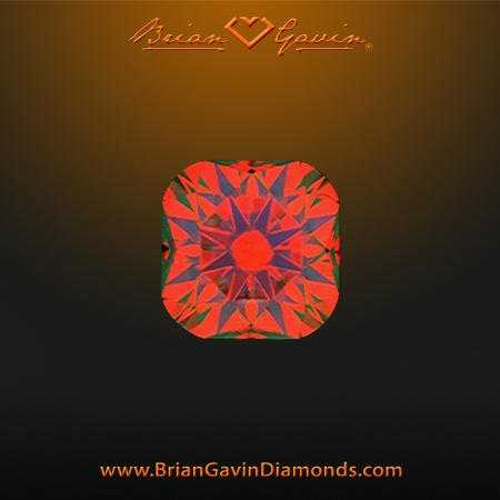 0.541 E SI1 Signature Cushion aset