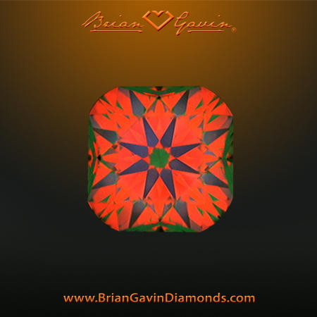 1.846 H VVS1 Signature Cushion aset