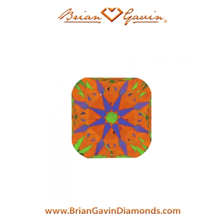 1.208 E VVS2 Signature Cushion aset