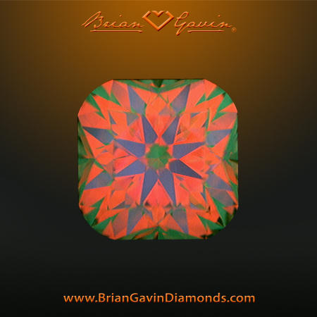 1.183 H VS1 Signature Cushion aset