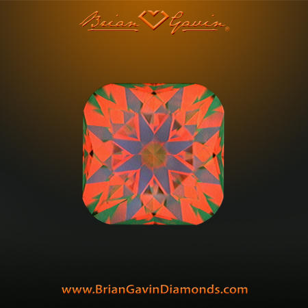 1.001 H VS2 Signature Cushion aset