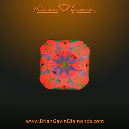 1.253 E VVS2 Signature Cushion aset