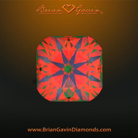 1.524 I VS1 Signature Cushion aset