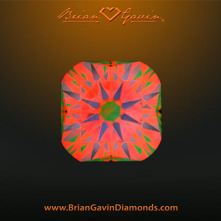 1.031 I SI1 Signature Cushion aset