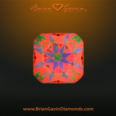 1.013 H VS1 Signature Cushion aset