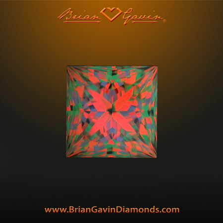 1.011 E VS1 Signature Princess aset