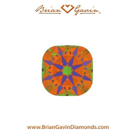 0.516 E SI1 Signature Cushion aset