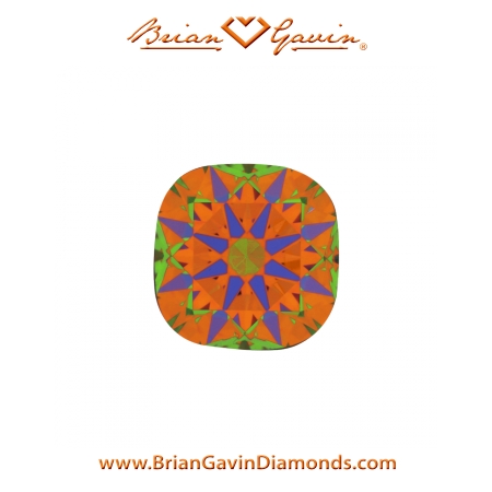 1.341 H VS1 Signature Cushion aset