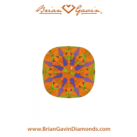 1.006 H SI1 Signature Cushion aset