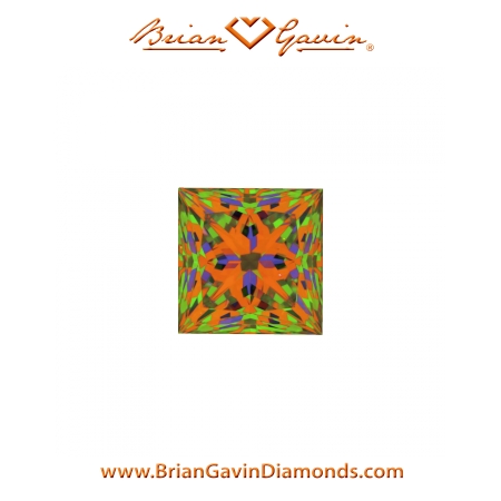 1.115 E VVS2 Signature Princess aset