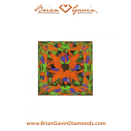 0.515 E VS1 Signature Princess aset