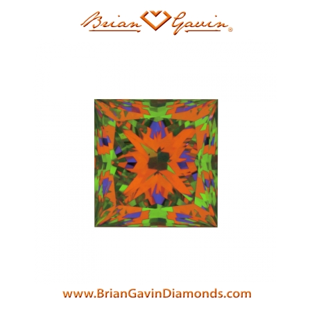 0.520 F VS1 Signature Princess aset