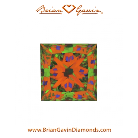 0.513 E VS2 Signature Princess aset