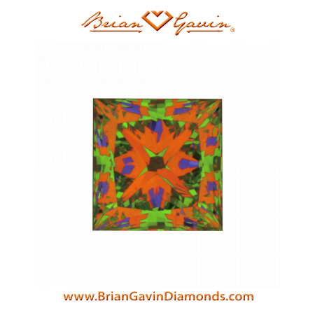 0.527 E VS2 Signature Princess aset