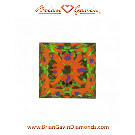 0.518 F VS1 Signature Princess aset