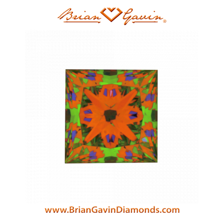 0.512 I VS2 Signature Princess aset