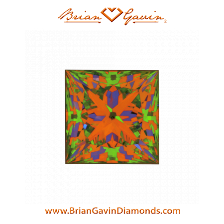 0.790 I SI1 Signature Princess aset