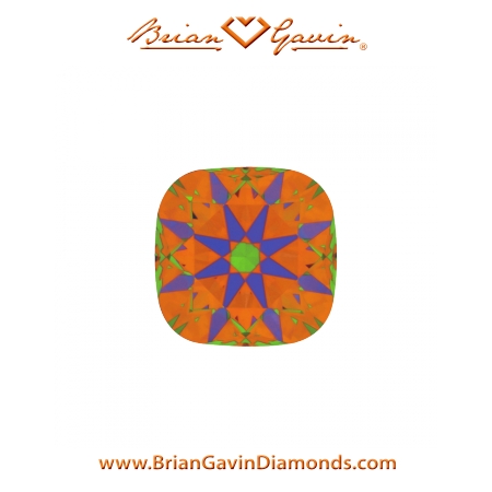 0.734 G VS2 Signature Cushion aset