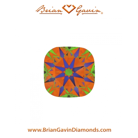 1.631 I VVS2 Signature Cushion aset