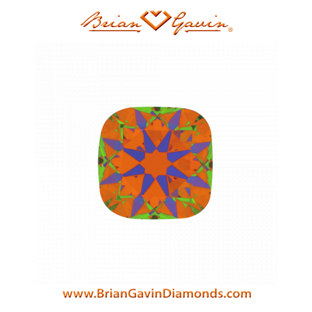 2.131 H VS1 Signature Cushion aset