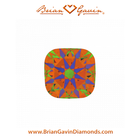 2.005 I SI2 Signature Cushion aset