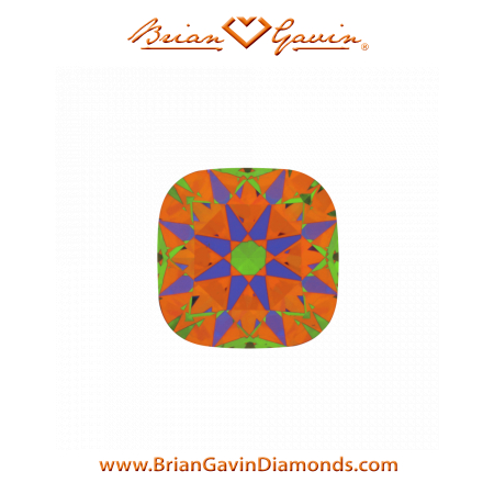 1.648 H VS1 Signature Cushion aset