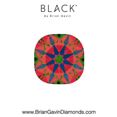 0.53 E VS1 Black by Brian Gavin Cushion aset