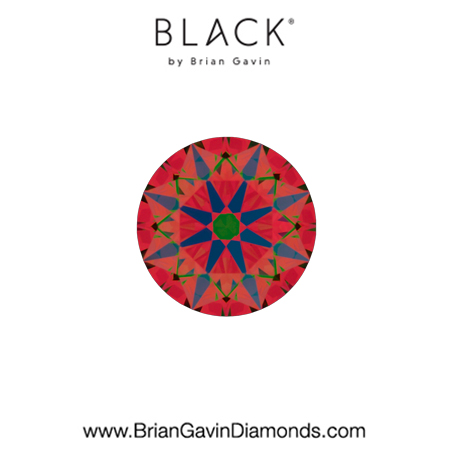 0.50 E VS1 Black by Brian Gavin Round aset