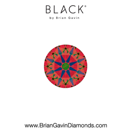 0.21 F VS2 Black by Brian Gavin Round aset