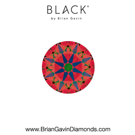 0.4 F VS1  Black by Brian Gavin Round aset