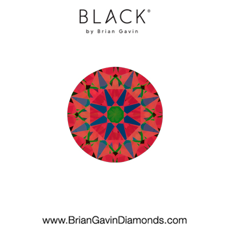 0.50 F VVS2 Black by Brian Gavin Round aset