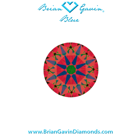 0.406 J VS2 Brian Gavin Blue aset