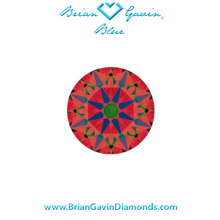 0.405 H VS1 Brian Gavin Blue aset