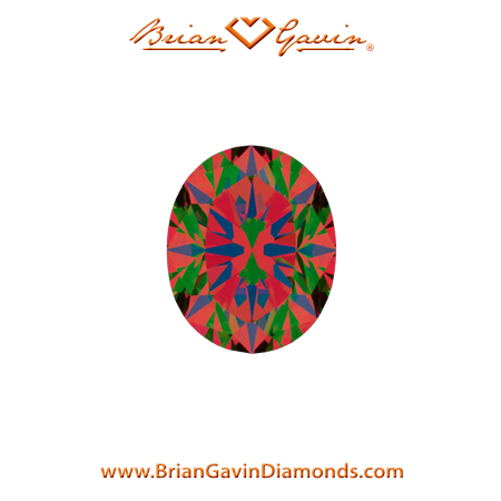 0.503 F VVS2 Brian Gavin Signature Oval aset