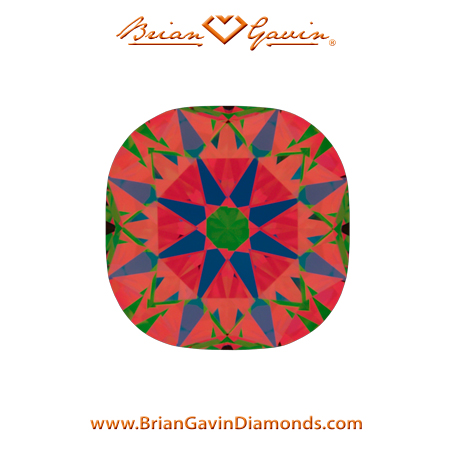 1.022 I VS1 Brian Gavin Signature Cushion aset