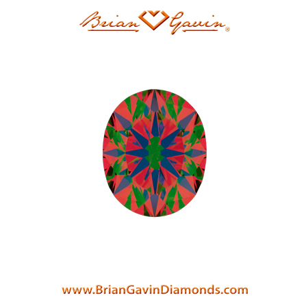 0.566 J VS2 Brian Gavin Signature Oval aset