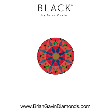 0.25 E VS2 Black by Brian Gavin Round aset